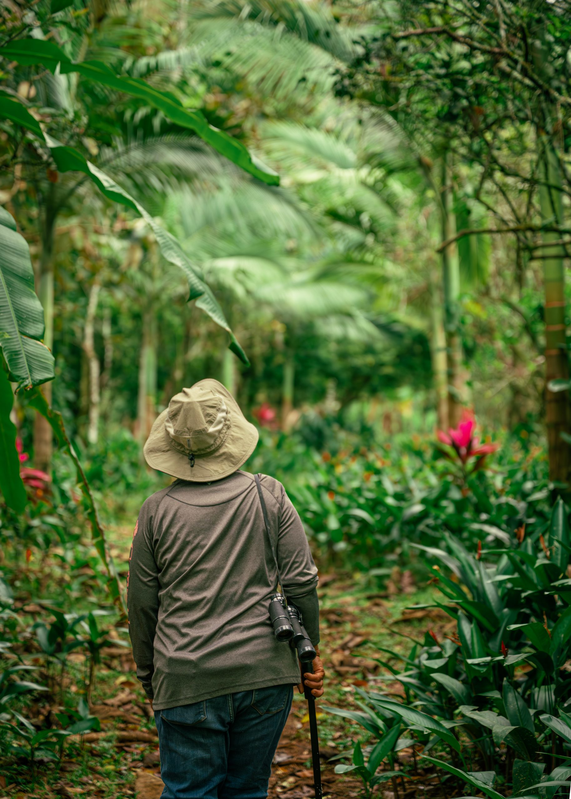 Ann Garden Tours