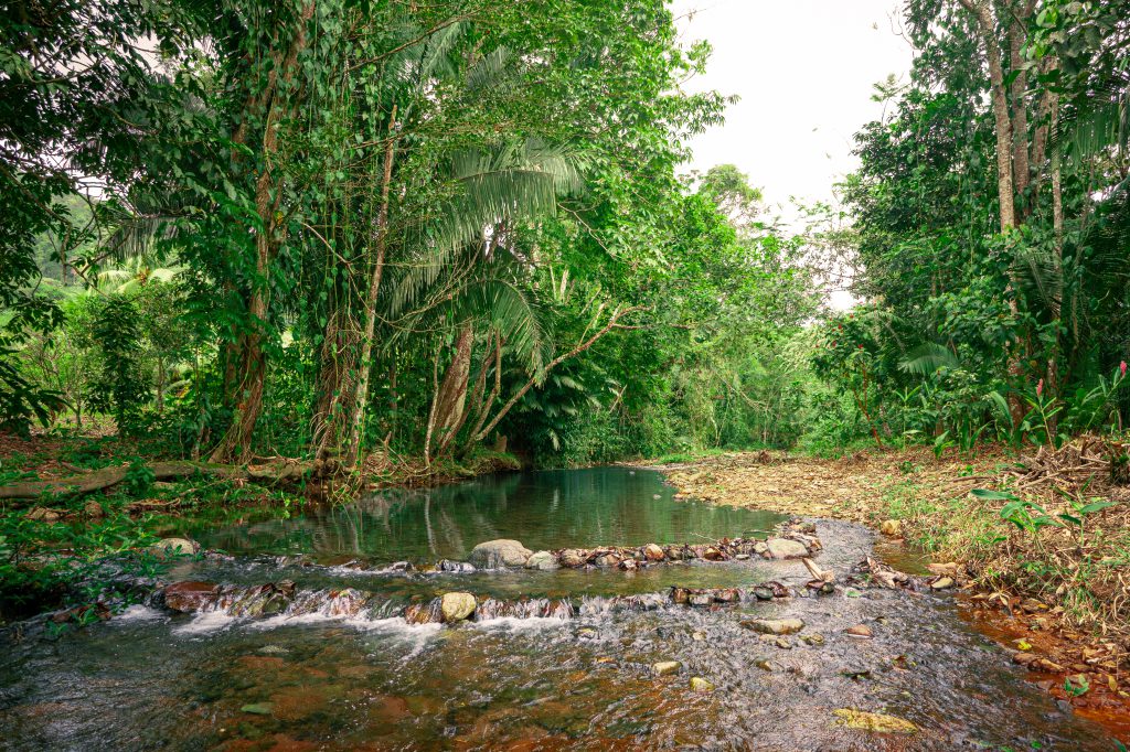 Nature Trails Nearby Creek Nature Trails Nearby Creek