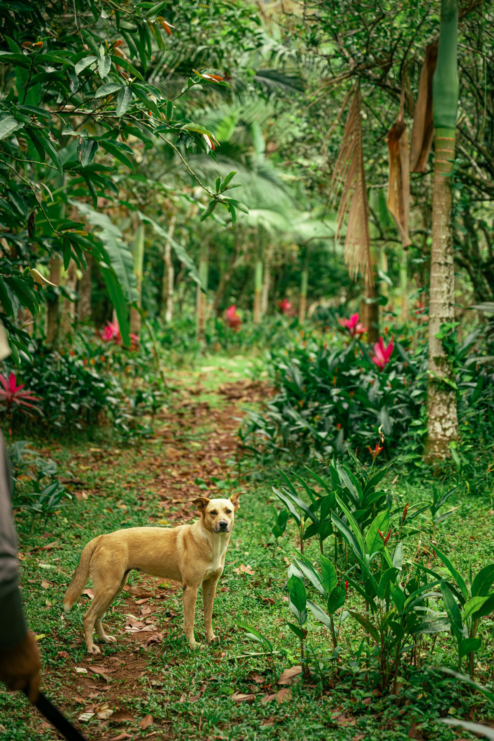 petsandfriends blackberryandsunphotography 3